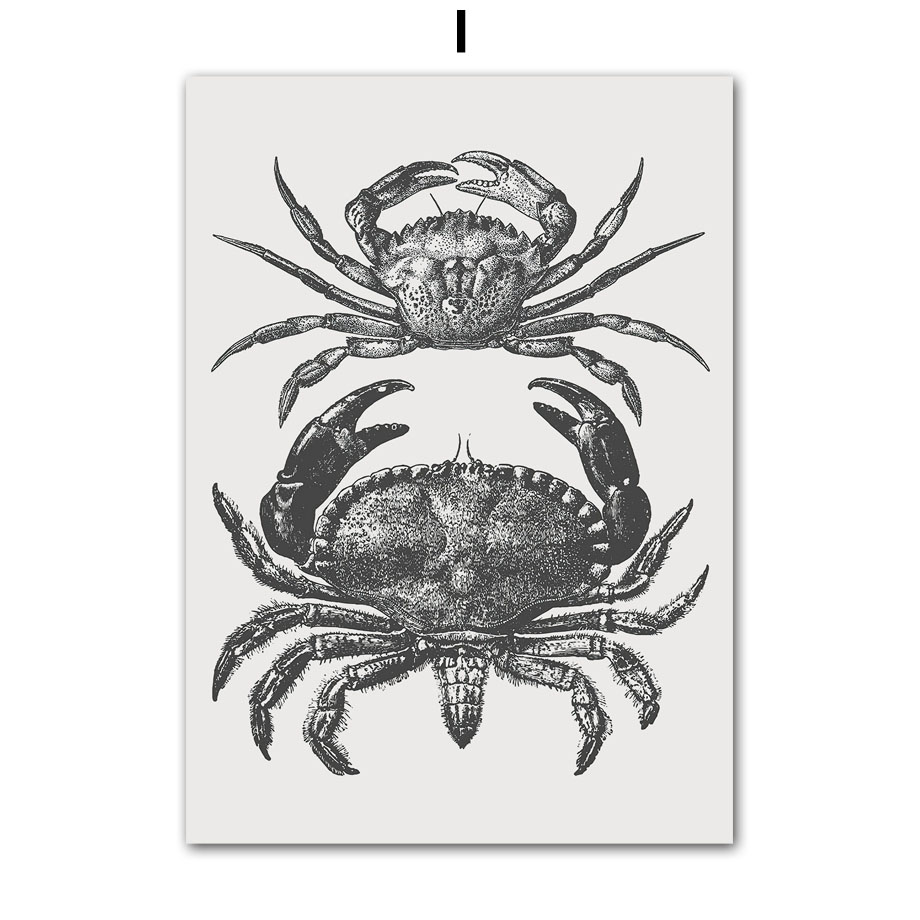 Home Decor Trend 2026 - 2026 Black Series Marine Biology Art