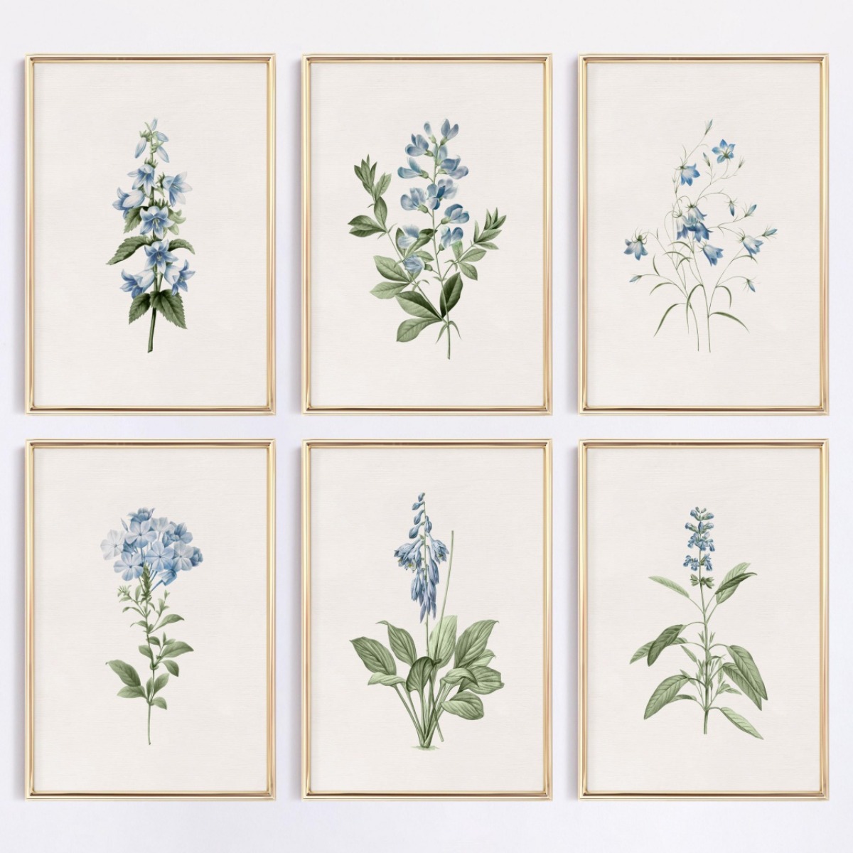 Home Decor Minimal - 1pcs Blue Wildflower Botanical Canvas Print