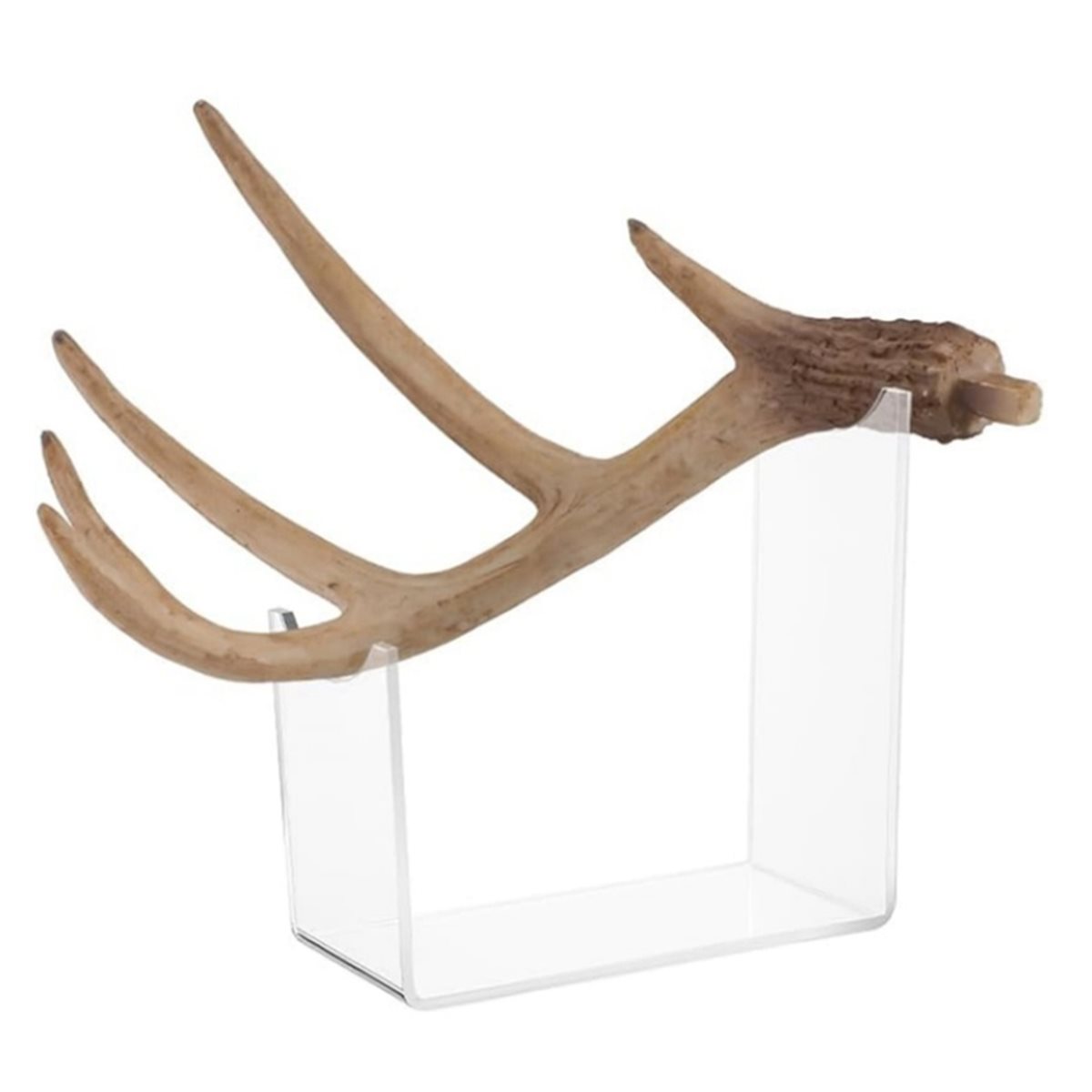 Home Decor Trend 2026 - 2026 Trend Horn Mount, Four Piece