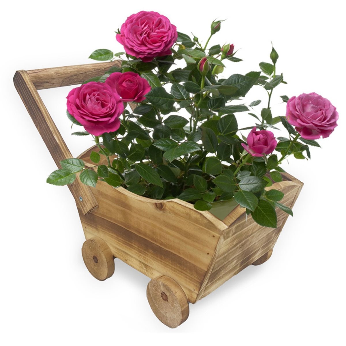2026 Trend Cartoon Car Flower  - Home Decor Trend 2026 评论和价格