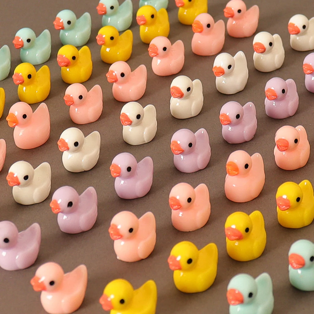 Ducks Fairy Garden Accessories - Home Decor Ikea 评论和价格