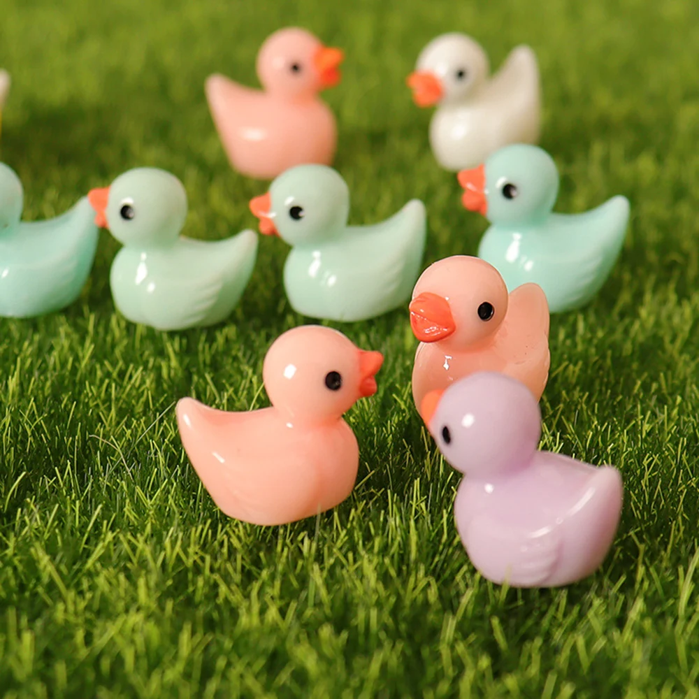Ducks Fairy Garden Accessories - Home Decor Ikea 评论和价格