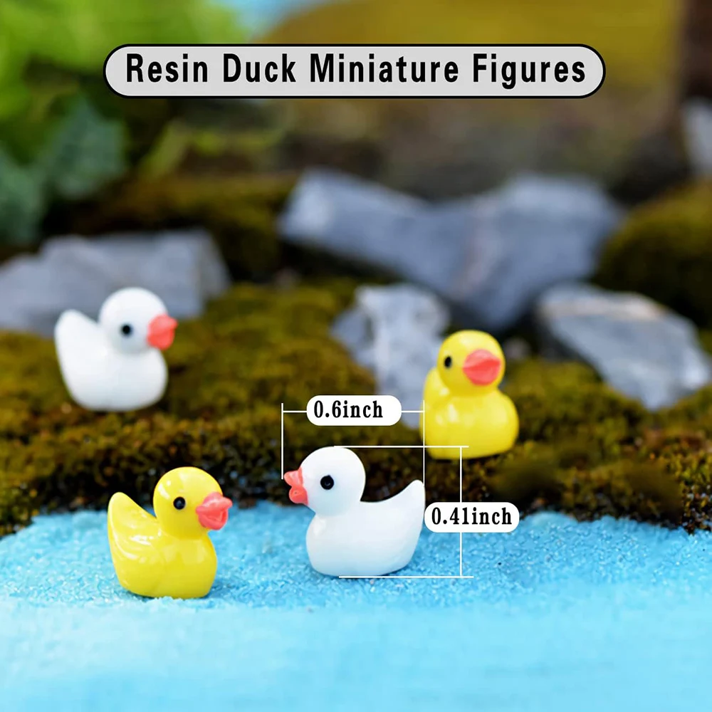Ducks Fairy Garden Accessories - Home Decor Ikea 评论和价格