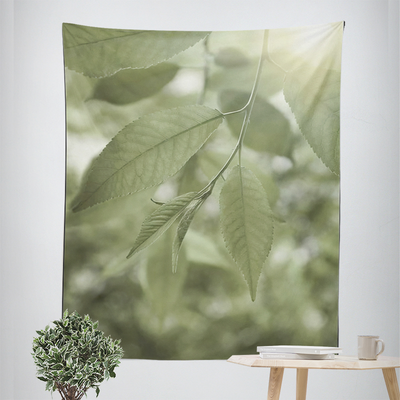 Home decorations room decor wa - Home Decor Indonesia 评论和价格